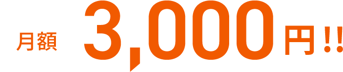 月額3,000円